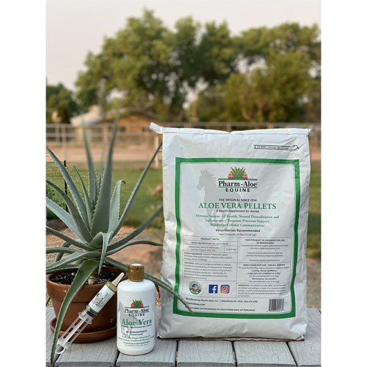 Equine Aloe Vera Juice