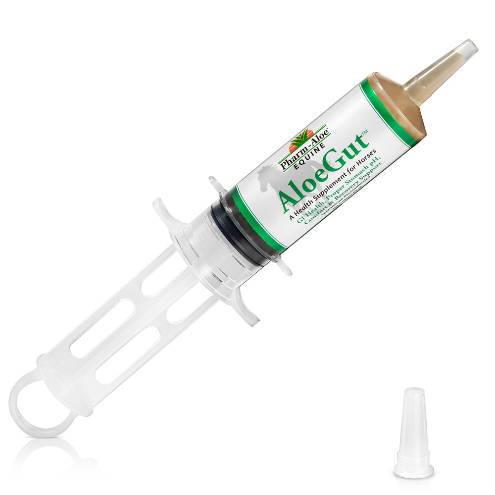 aloe injeel AloeGut - 4 PACK