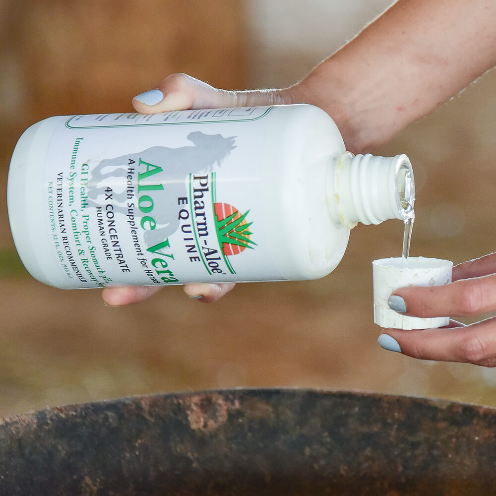 Equine Aloe Vera Juice