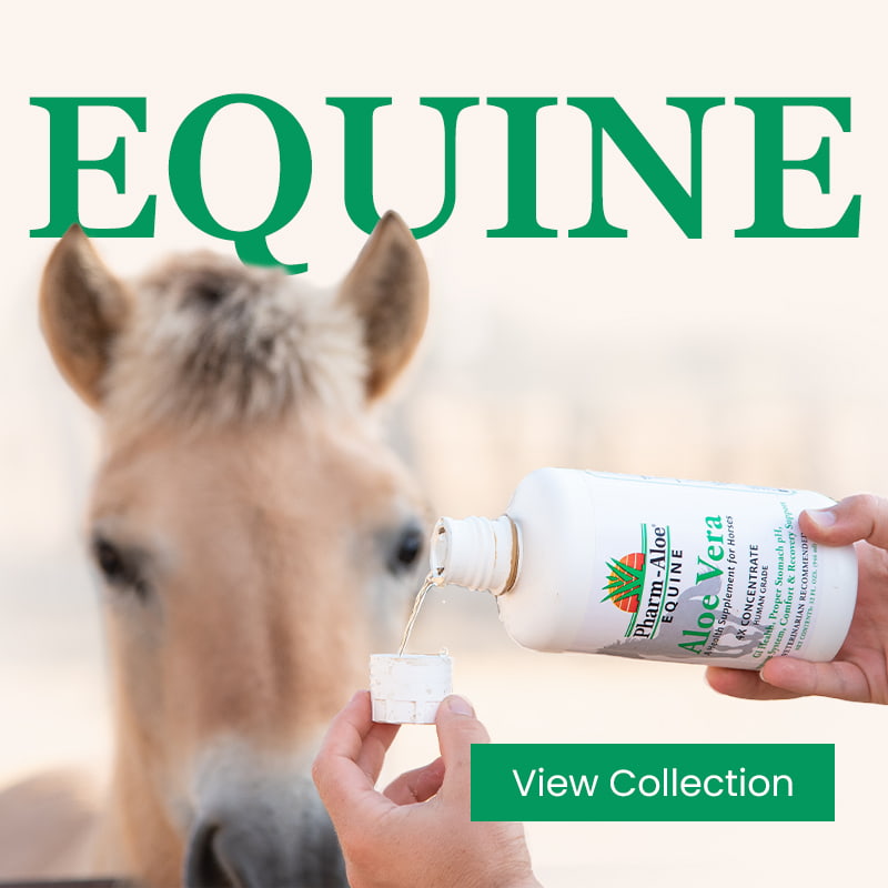 Pharm-Aloe products for Horses